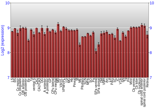 Expression graph