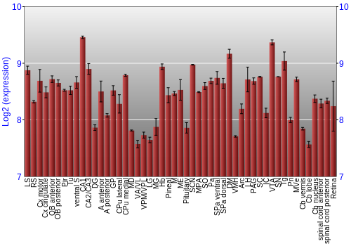 Expression graph