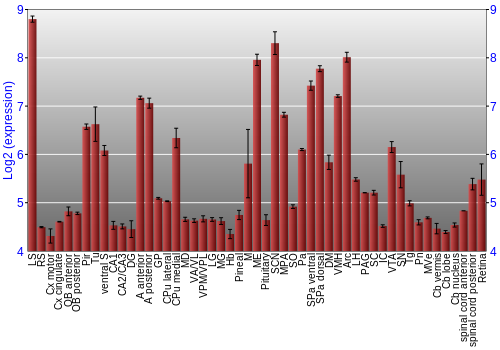 Expression graph