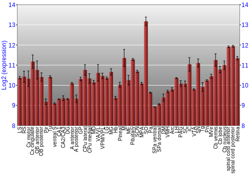 Expression graph