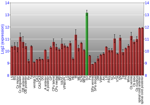 Multi-state expression graph