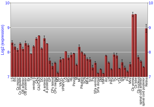 Expression graph