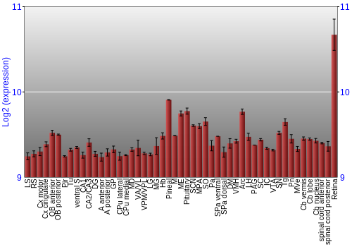 Expression graph
