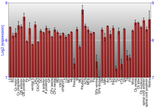 Expression graph