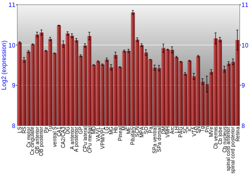Expression graph
