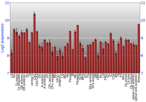 Expression graph