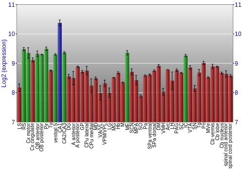 Multi-state expression graph