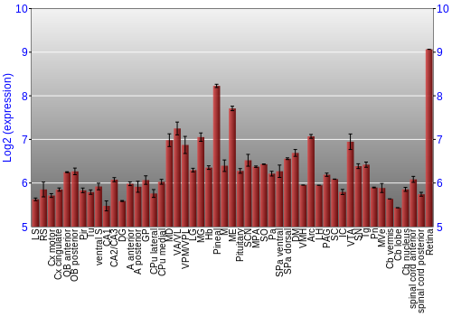 Expression graph