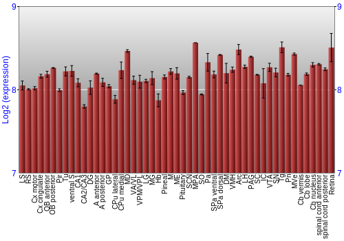 Expression graph