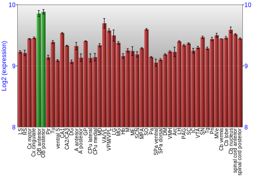 Multi-state expression graph
