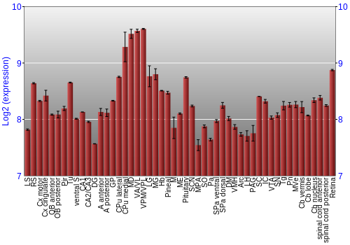 Expression graph