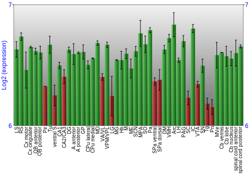 Multi-state expression graph
