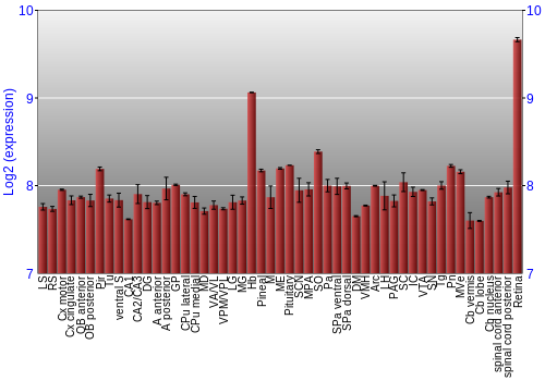 Expression graph