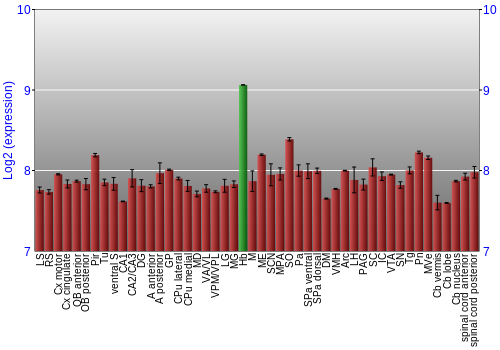 Multi-state expression graph