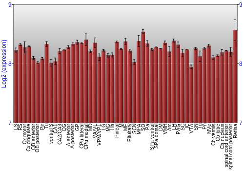 Expression graph