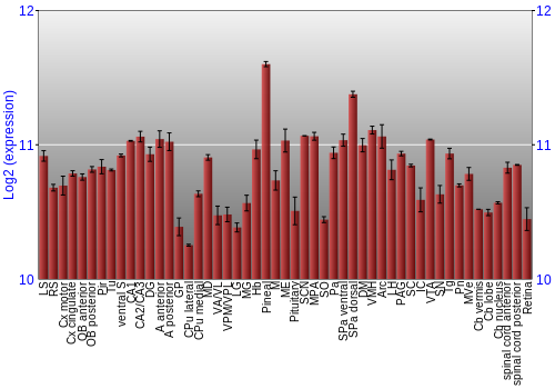 Expression graph