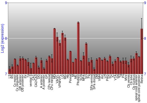 Expression graph