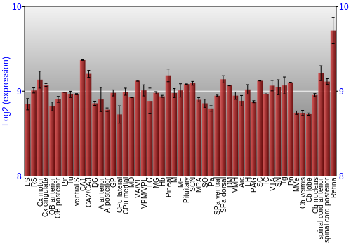 Expression graph