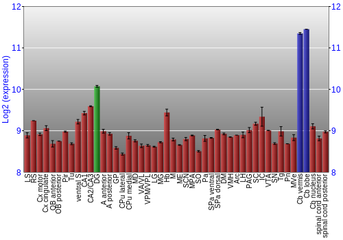 Multi-state expression graph
