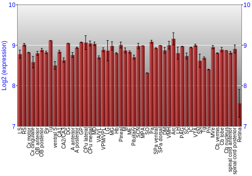 Expression graph