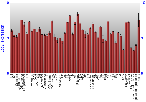 Expression graph