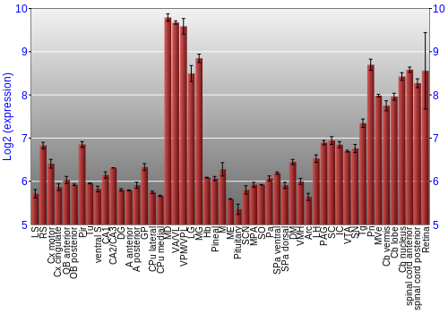 Expression graph