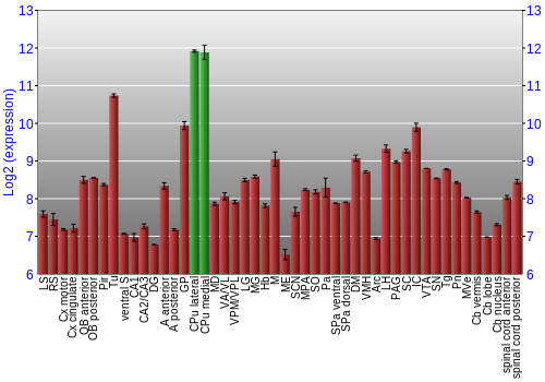 Multi-state expression graph