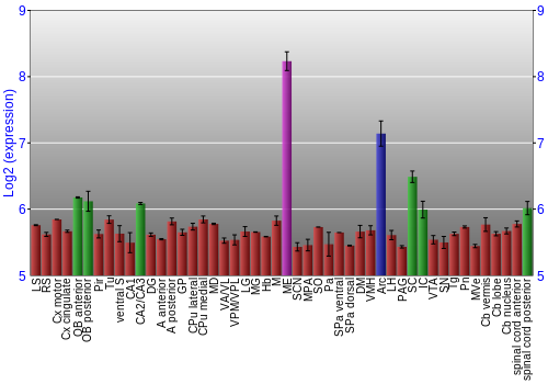 Multi-state expression graph