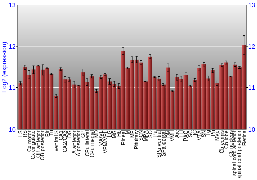 Expression graph