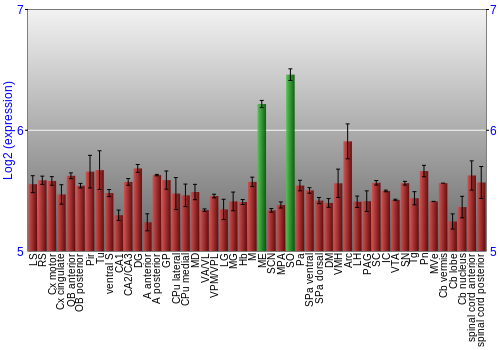 Multi-state expression graph