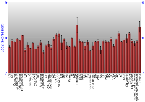 Expression graph