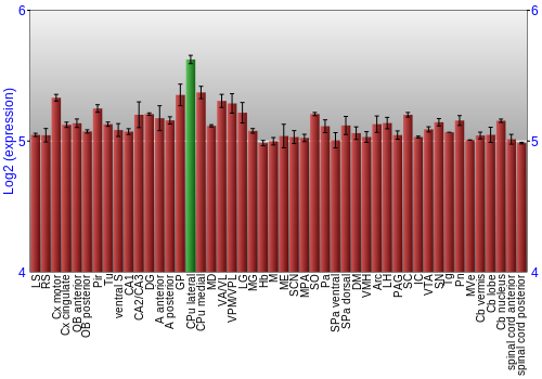 Multi-state expression graph