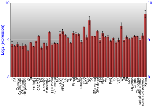 Expression graph