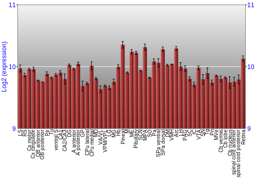Expression graph