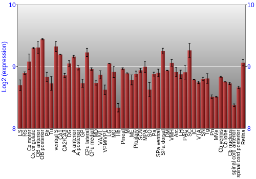 Expression graph