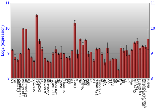 Expression graph
