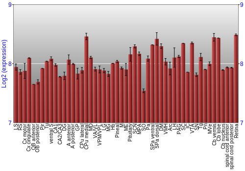 Expression graph