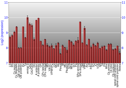 Expression graph
