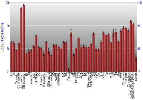 Expression graph