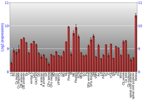 Expression graph