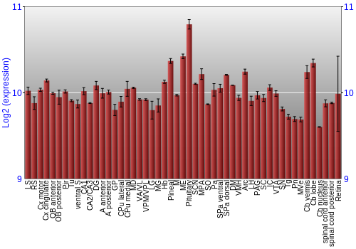 Expression graph