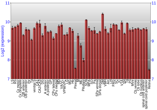Expression graph