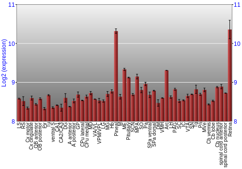 Expression graph