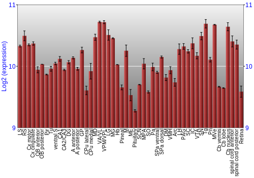 Expression graph