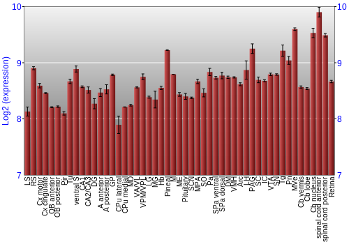Expression graph