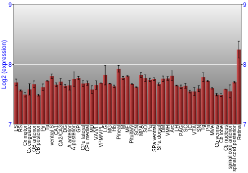 Expression graph