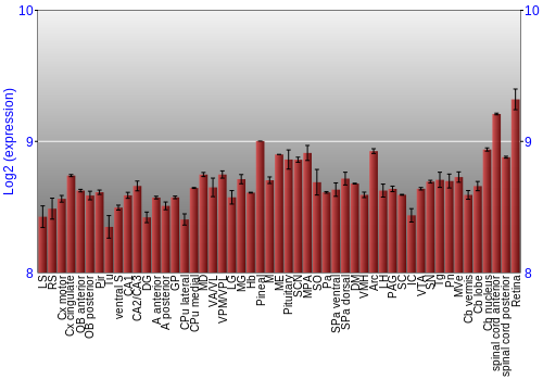 Expression graph