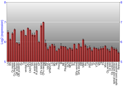 Expression graph