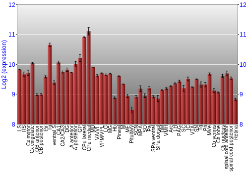 Expression graph