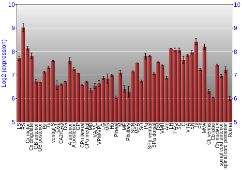 Expression graph